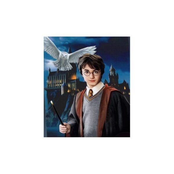 780720 NORIMPEX 5D Diamantová mozaika - Harry Potter